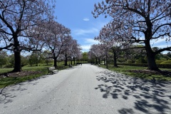 2026-05-01-Longwood-Gardens-11