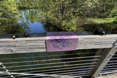 2026-05-01-Longwood-Gardens-19