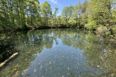 2026-05-01-Longwood-Gardens-21