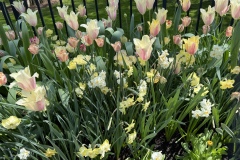 2026-05-01-Longwood-Gardens-24