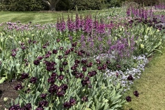 2026-05-01-Longwood-Gardens-26