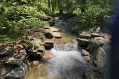 2026-05-01-Longwood-Gardens-33