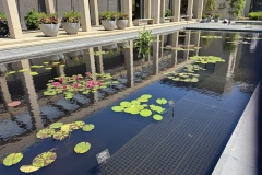 2026-05-01-Longwood-Gardens-5