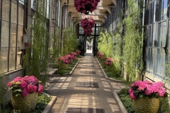 2026-05-01-Longwood-Gardens-6