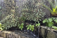 2026-05-01-Longwood-Gardens-7